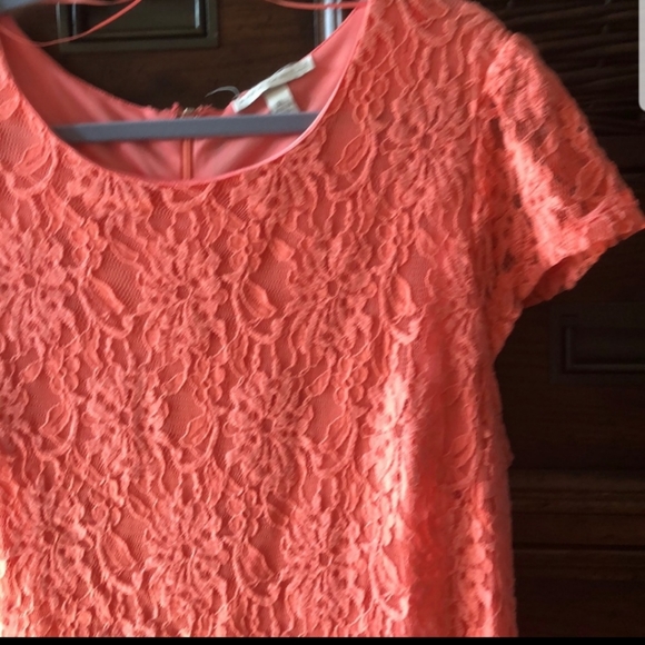 Maria Gabrielle Coral lace midi dress in size XL - Picture 2 of 2